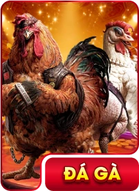 Đá Gà